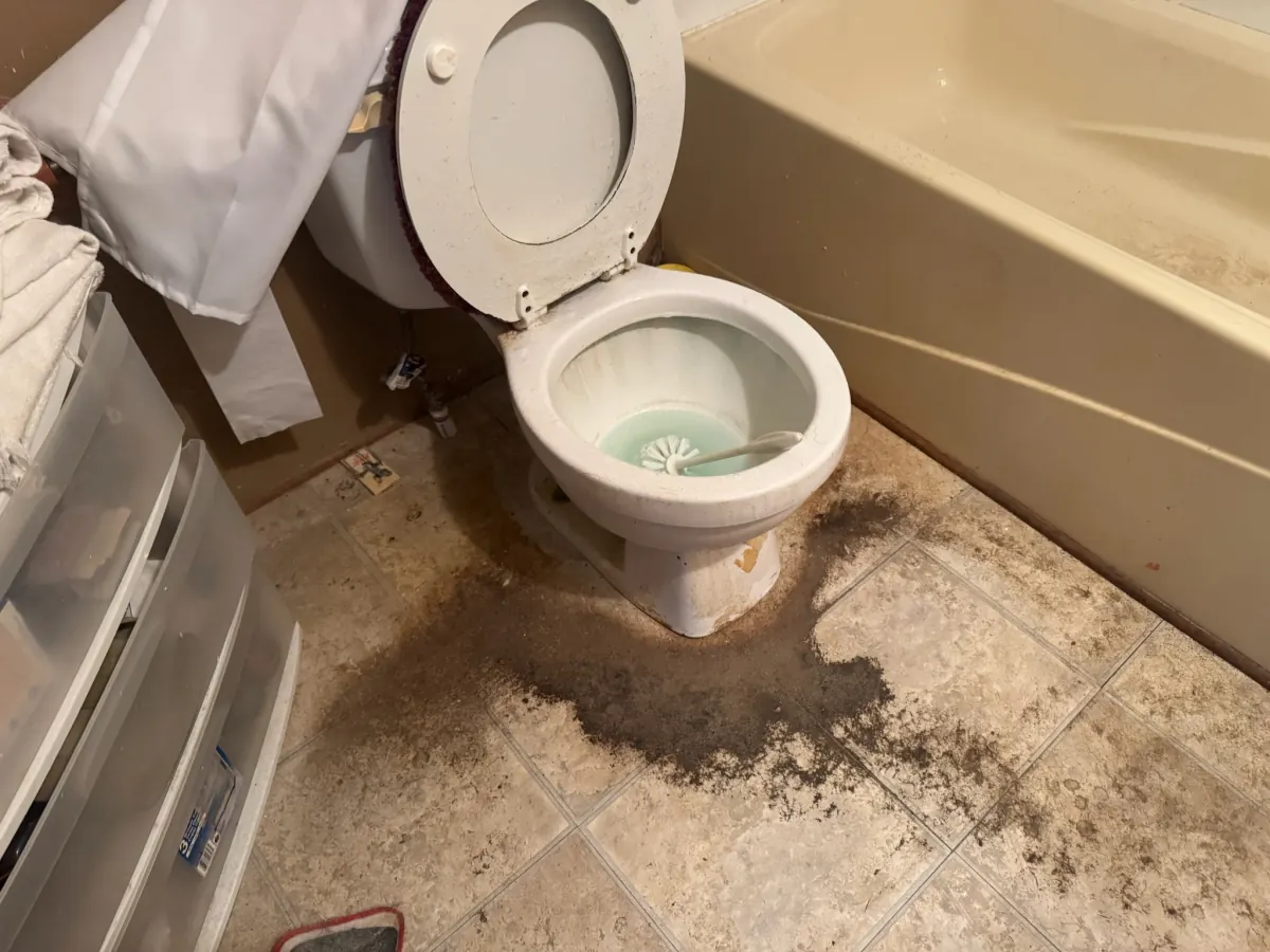 Deep Cleaning Before